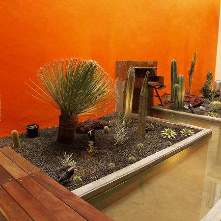 Coyoacan - Inn メキシコシティ エクステリア 写真