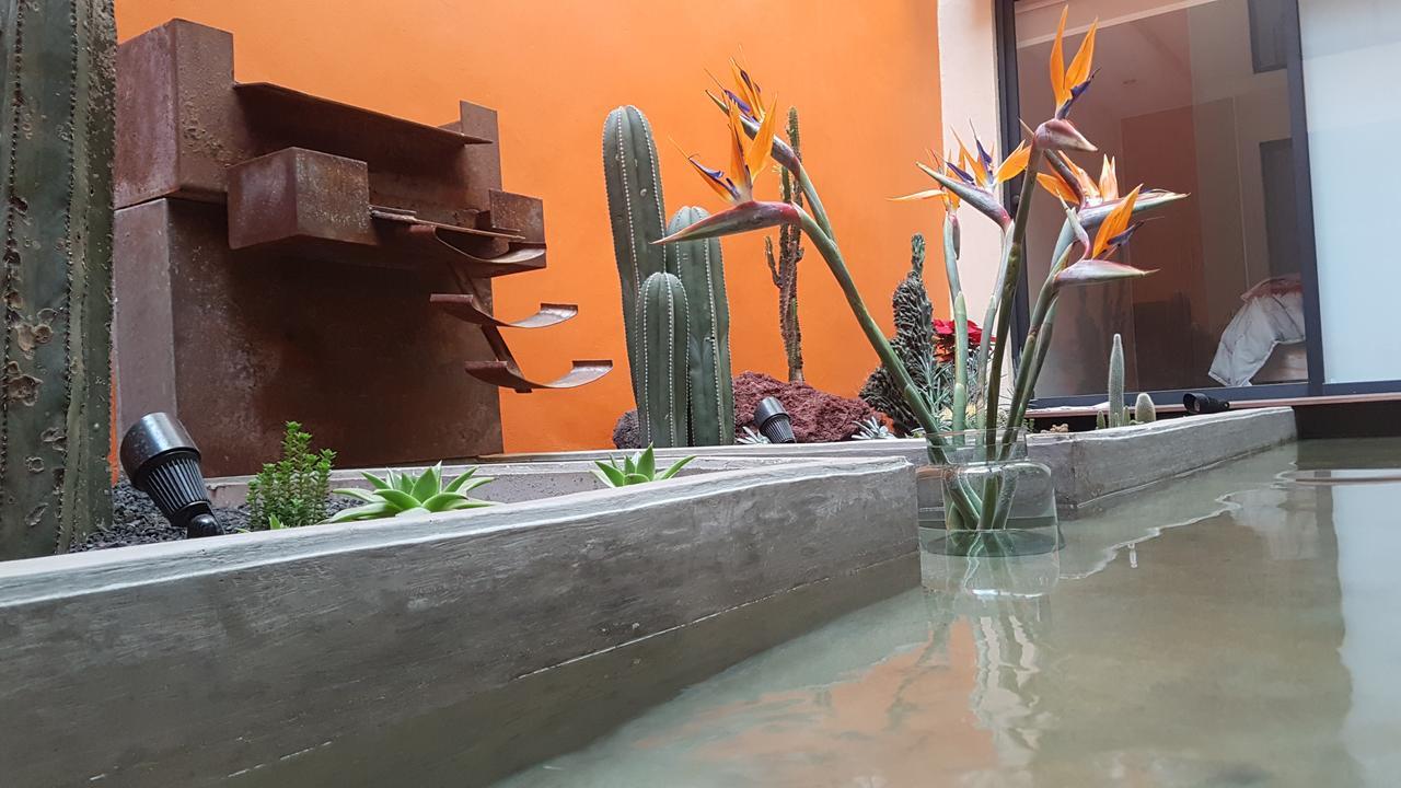 Coyoacan - Inn メキシコシティ エクステリア 写真